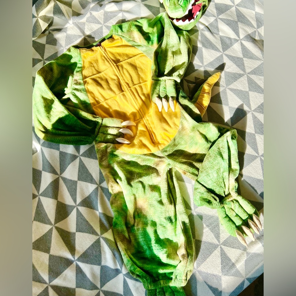 Like New Childrens Place Dragon Halloween Costume size 5/6. Head dress included